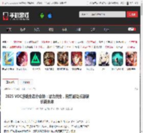 2025 VDC游戏生态